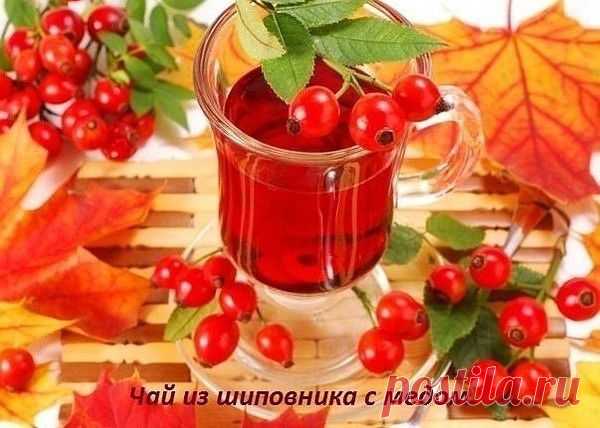 5 волшебных чашек - Славянский Базар - Группы Мой Мир
