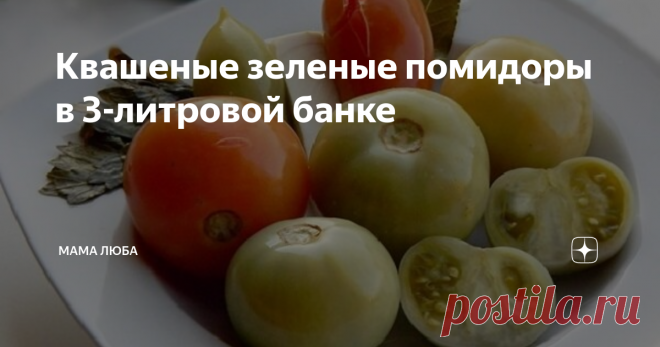 Квашеные зеленые помидоры в 3-литровой банке Квашеные зеленые помидоры могут быть очень вкусными – не хуже красных спелых маринованных томатов. Зеленые помидоры в рассоле – одно из любимых блюд у многих, особенно он популярен в последние годы: томаты на многих огородах поразила фитофтора, из-за чего огородники стараются сорвать помидоры с грядки раньше времени. В итоге надо думать, как засолить зеленые помидоры на зиму. К счастью, рецепты зеленых помидоров существуют: зеле...