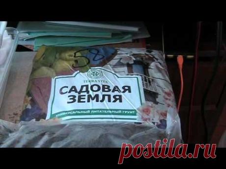 Что такое кокосовый субстрат