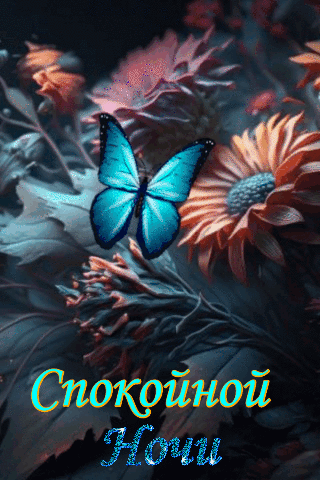 Спокойной  ночи