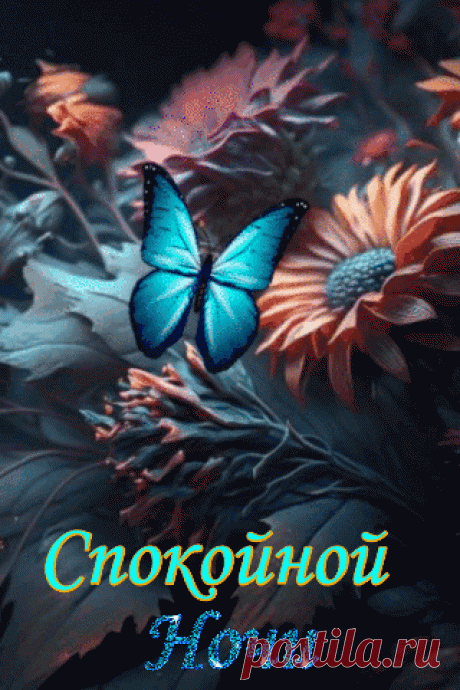 Спокойной  ночи