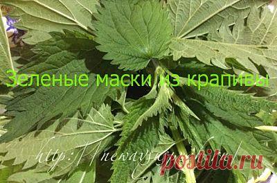 Зеленые маски из крапивы | УСПЕХ с NEWAYS
Крапивные маски отлично действуют на кожу