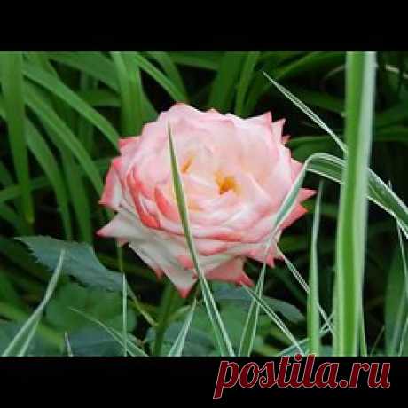 Интересные новости