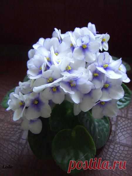 Лето | Фотографии Ксюша Ксюшина | 201 фото