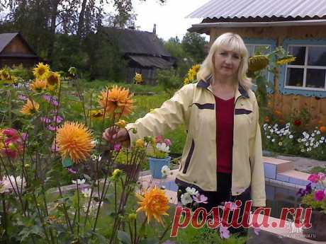 Галина Варламова
49 лет, Россия, Пермь