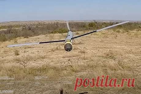 Разработчик рассказал о дронах-камикадзе Altius 600M для ВСУ. Производимые в Австралии дроны-камикадзе Altius 600M поставляются США украинской стороне, при этом оператор Вооруженных сил Украины имеет возможность управлять сразу несколькими такими беспилотниками. Об этом основатель компании Anduril Australia Палмер Лаки заявил журналу ADM.