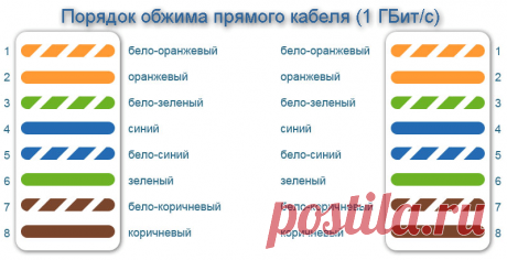 Терморегулятори rj45 4 жили. Вита пара: способи обтиску, схема з'єднань.