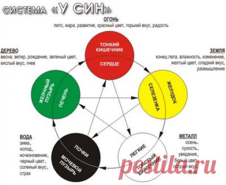 У-СИН ДИАГНОСТИКА ОН-ЛАЙН.