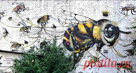 Pinterest: инструмент для поиска и хранения интересных идей