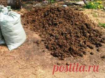(+1) тема - Особенности применения конского навоза | 6 соток