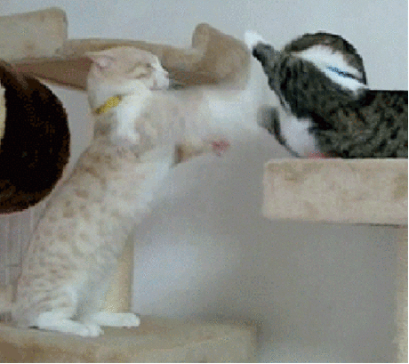 s-23630.gif (499×444)