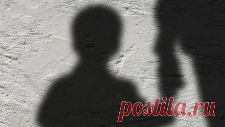 Мужчина напал на ребенка по дороге в школу в Якутии. В Якутске третьеклассник подвергся нападению неизвестного мужчины по дороге в школу. Об этом сообщается в Telegram-канале "Якутск Вечерний". О произошедшем рассказала мать девятилетнего мальчика, по словам женщины, инцидент ...