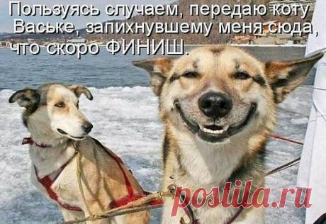 Интересные новости