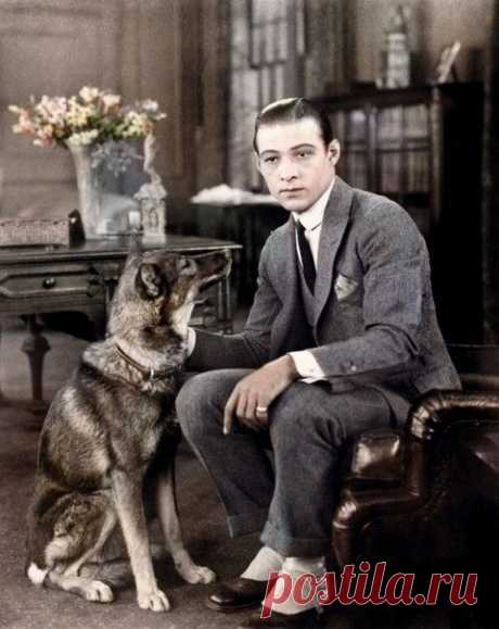 Рудольф Валентино (англ. Rudolph Valentino; 1895 — 1926) — американский киноактёр итальянского происхождения, идол эпохи немого кино.