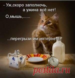 Современный человек всего потребляет слишком много. Животные жиры, например, способствуют быстрому развитию атеросклероза — значит, нужно найти им полноценную замену растительными маслами. Готовя пищу, учитывайте, сколько нужно картошки, хлеба — и ставьте на стол именно столько. И не нужен десерт в виде конфет. Конечно, если физическая нагрузка у ребенка большая, вес и активность в норме — немного сладостей ему не повредит. Но если вес легко набирается, значит, нужна дополнительная физическая на