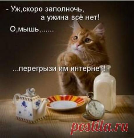 Современный человек всего потребляет слишком много. Животные жиры, например, способствуют быстрому развитию атеросклероза — значит, нужно найти им полноценную замену растительными маслами. Готовя пищу, учитывайте, сколько нужно картошки, хлеба — и ставьте на стол именно столько. И не нужен десерт в виде конфет. Конечно, если физическая нагрузка у ребенка большая, вес и активность в норме — немного сладостей ему не повредит. Но если вес легко набирается, значит, нужна дополнительная физическая на