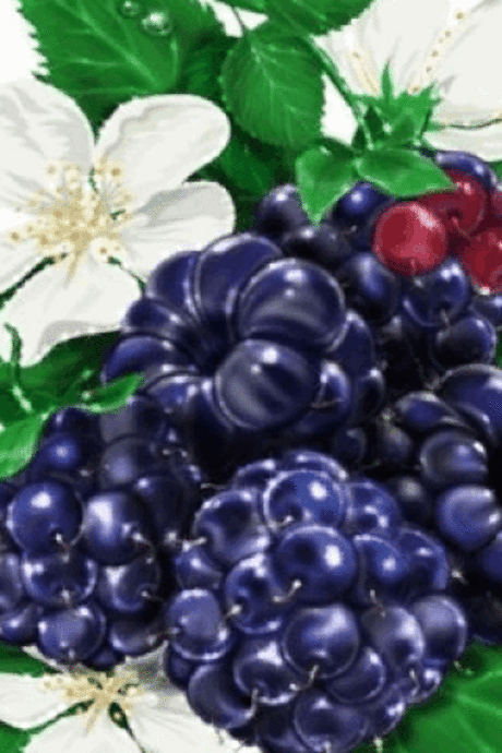 Очень вкусно