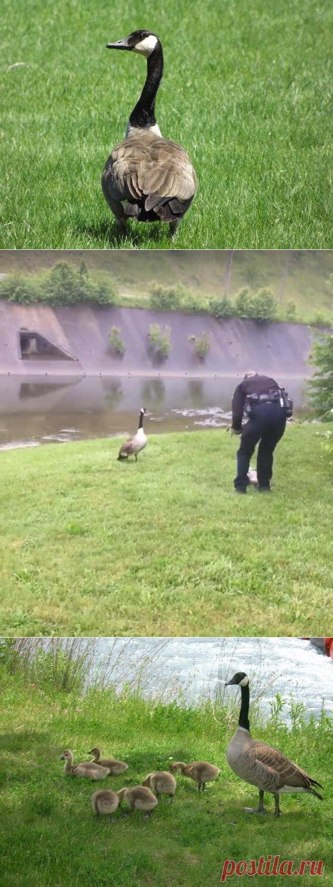 Мама всегда остается мамой!