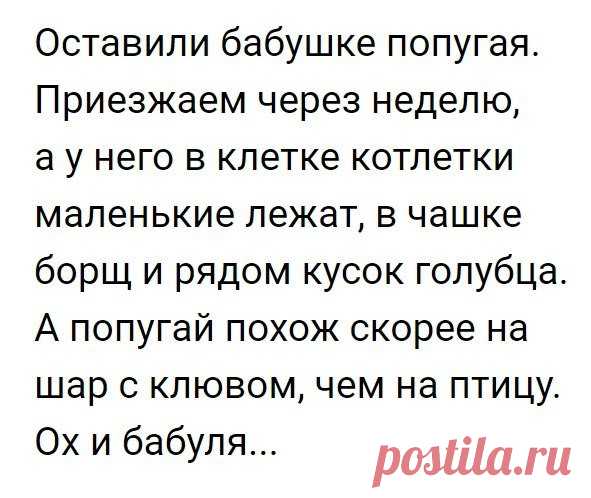 Смешные комментарии и высказывания из социальных сетей 17-07-2017 76134 | Чёрт побери Очередная подборка смешных высказываний и комментариев из социальных сетей и других частей интернета.