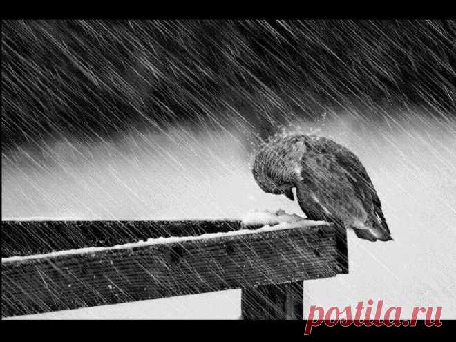 Мой Мир@Mail.Ru