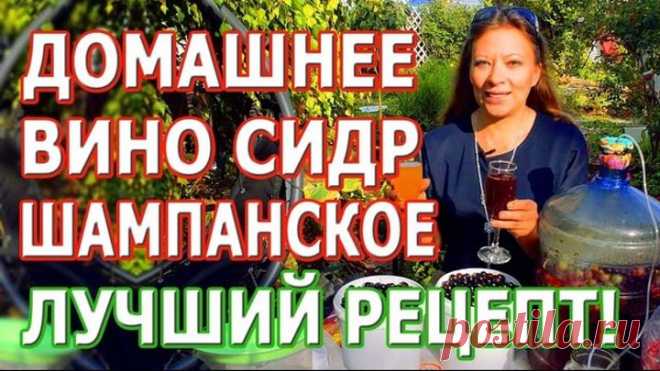 Как сделать домашее вино из ягод. Делаем отменный домашний сидр. Вкусное домашнее шампанское.