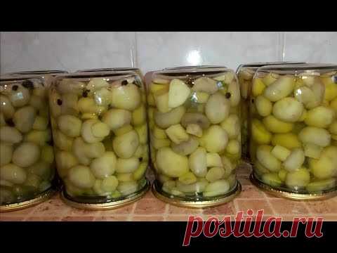 таких вкусных вы еще никогда не ели!! нравятся всем!