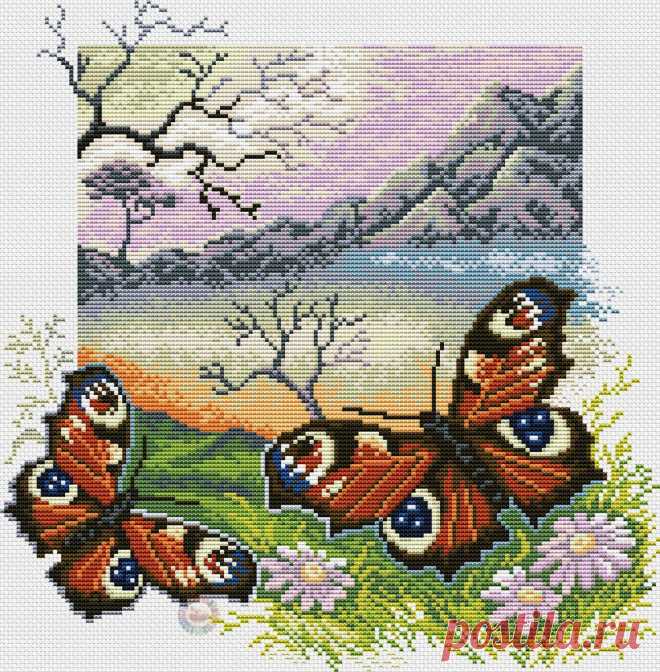 бабочки,букашки