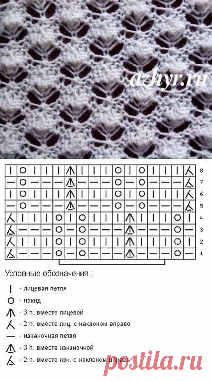 Мое хобби