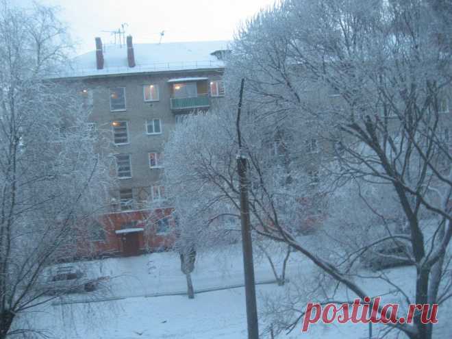 15 ОМСК