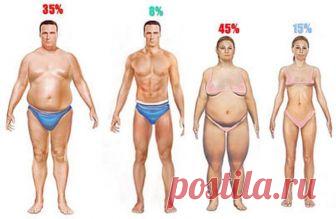 Врачи потеряли дар речи: достаточно просто cварить эти 2 ингредиента и лишний вес перестанет быть проблемой! Удивительно,но это факт!