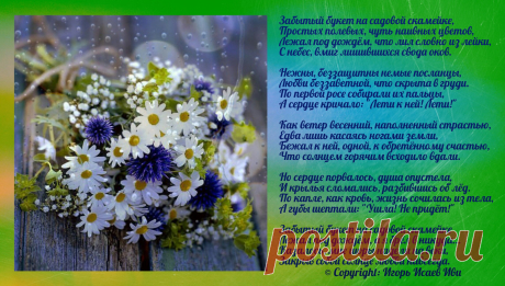 Открытка &quot;Забытый букет&quot;