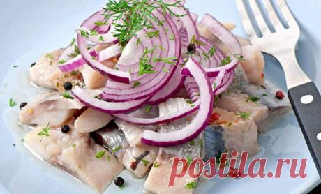Малосольная селедка получилась вкуснее семги: засолили северным способом за 3 дня - Steak Lovers - медиаплатформа МирТесен Селедка относится к простым видам рыбы и не считается деликатесом, но если ее засолить дома по-северному, то она получается удивительно нежной и буквально тает во рту. Некоторые из гостей, попробовав рецепт, даже говорят, что селедка стала вкуснее магазинной красной рыбы. Ключевое во вкус селедки
