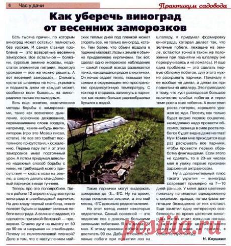 Казахстанский ДАЧНИК - ЦВЕТОВОД