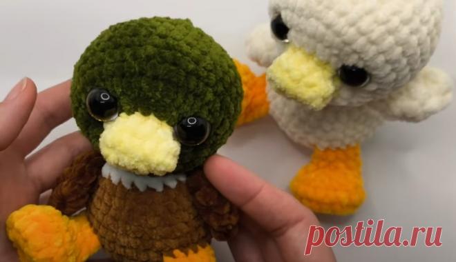 Уточка и селезень крючком