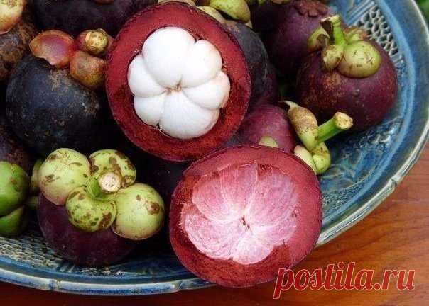 ​Самый вкусный фрукт в мире — Интересные факты