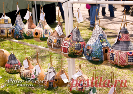 Holland, MI Tulip Festival - Outer Focus Photos