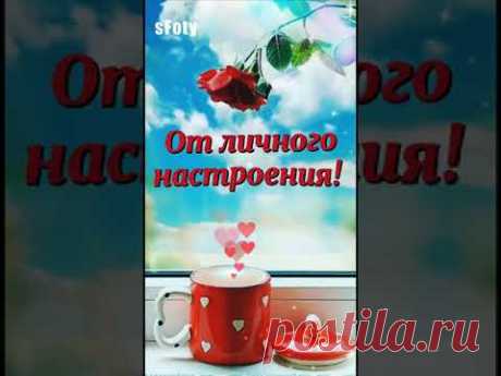 Доброе утро!#Shorts - YouTube
