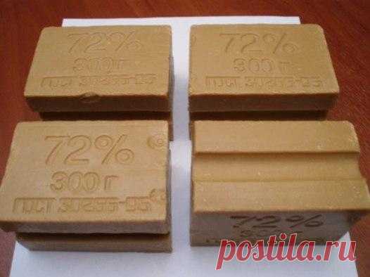 Vénus | Мода, Стиль, Красота