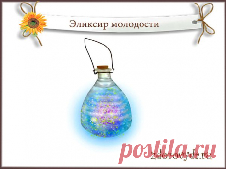 эликсир молодости рецепт | Блог о красоте и здоровье