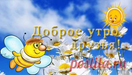 Новости