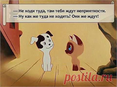 Интересные новости