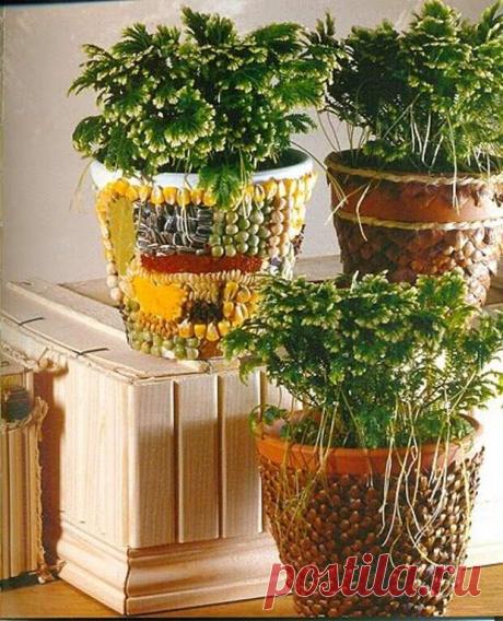 Идеи декора цветочных горшков - Огород, сад, балкон - медиаплатформа МирТесен Стандартные цветочные горшки, продаваемые в магазинах, бывают порой унылыми и непривлекательными. А цветочные горшки, которые привлекают внимание уже стоят на порядок дороже. Поэтому самый оптимальный вариант — купить недорогой стандартный цветочный горшок и украсить его своими руками....