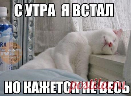 Интересные новости