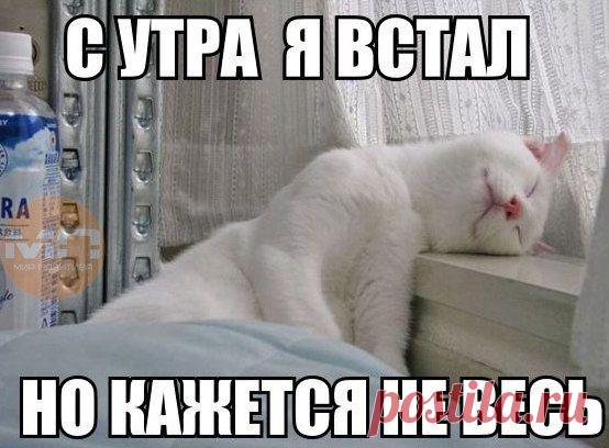 Интересные новости