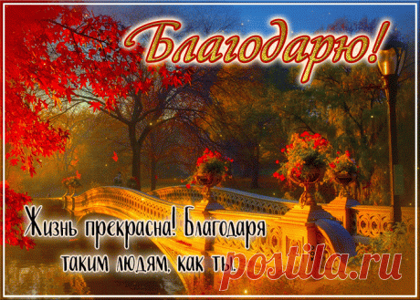 Полная любви гиф-открытка, благодарю тебя за все