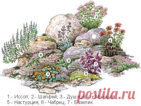 Альпийские горки | Записи в рубрике Альпийские горки | Дневник Юрий_Дуданов