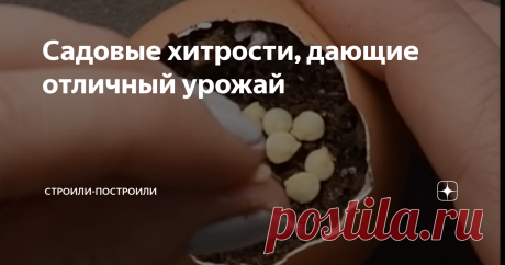 Cадовые хитрости, дающие отличный урожай Дачник - это не всегда человек с задранной вверх пятой точкой! Опытный дачник - это человек, владеющий огромным арсеналом хитрых средств для облегчения своего труда!
Сегодня мало кого удивишь "самокопающими" лопатами и специальными добавками от сорняков, но вот про два средства, описанных в этой статье, знают лишь немногие садоводы!
Первое хитрое средство помогает ускорить рост рассады и сделать е