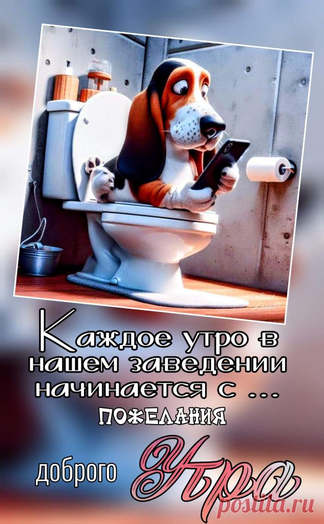 С добрым утром Привет Здрасте Добрый день