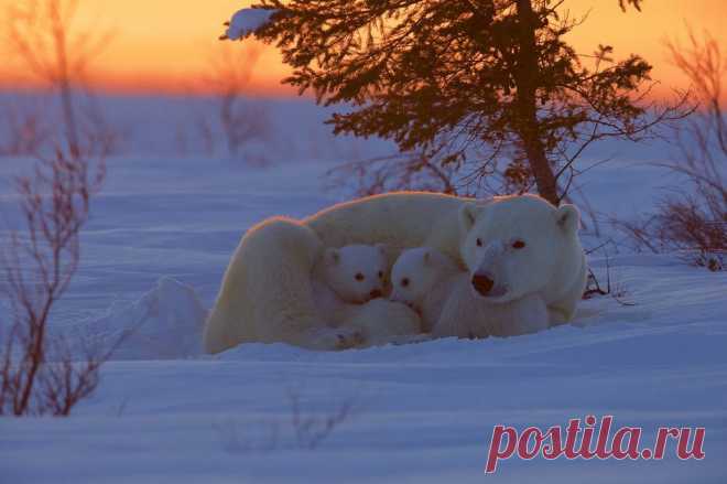 15 лучших кадров марта от National Geographic