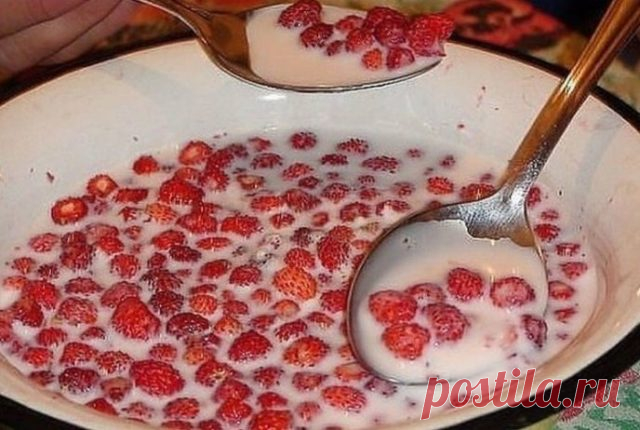 Вкус детства (12 фото) — Мой милый дом